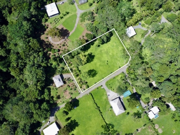 Residential lot with forest views in Puerto Jiménez